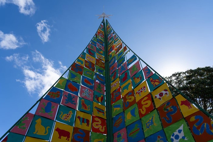 Image: Festive Season