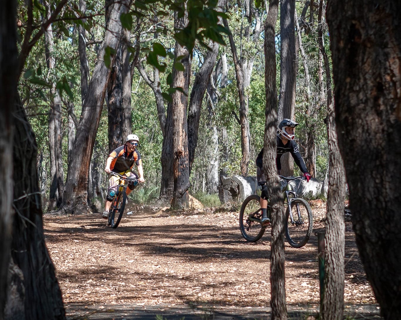 Illegal Bike Trails Image