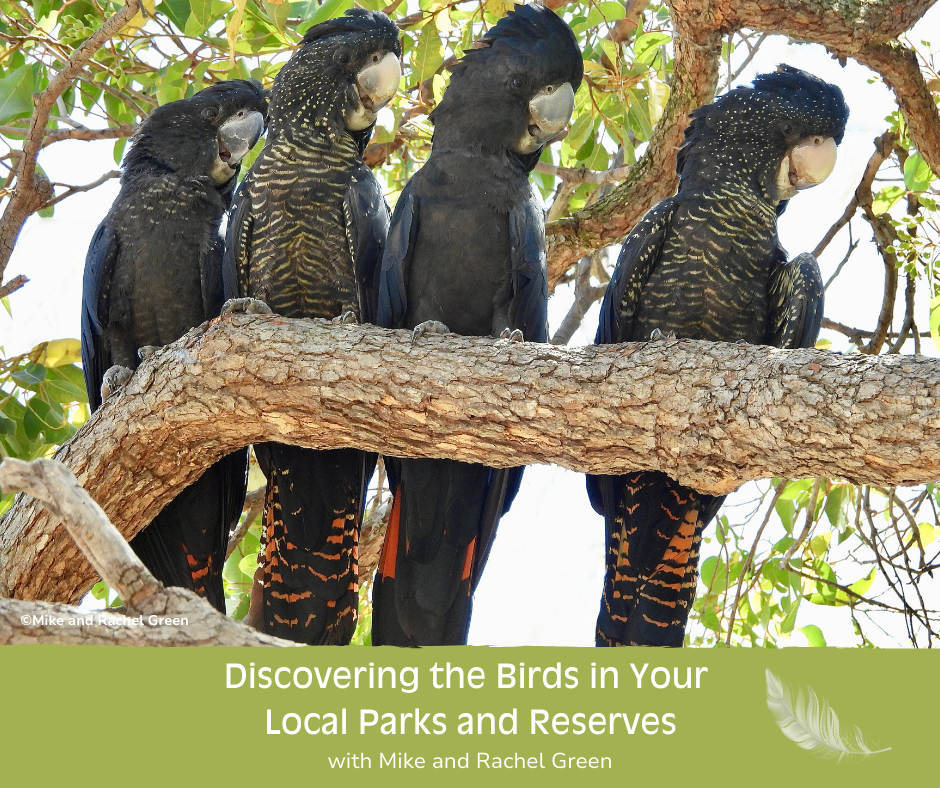 Discovering the Birds in Your local Parks and Reserves with Mike and Rachel Green