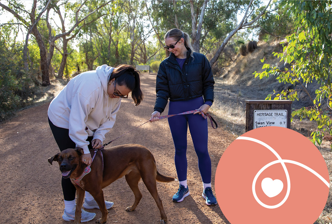 Future Mundaring - Darlington Community Pavilion Community Workshop