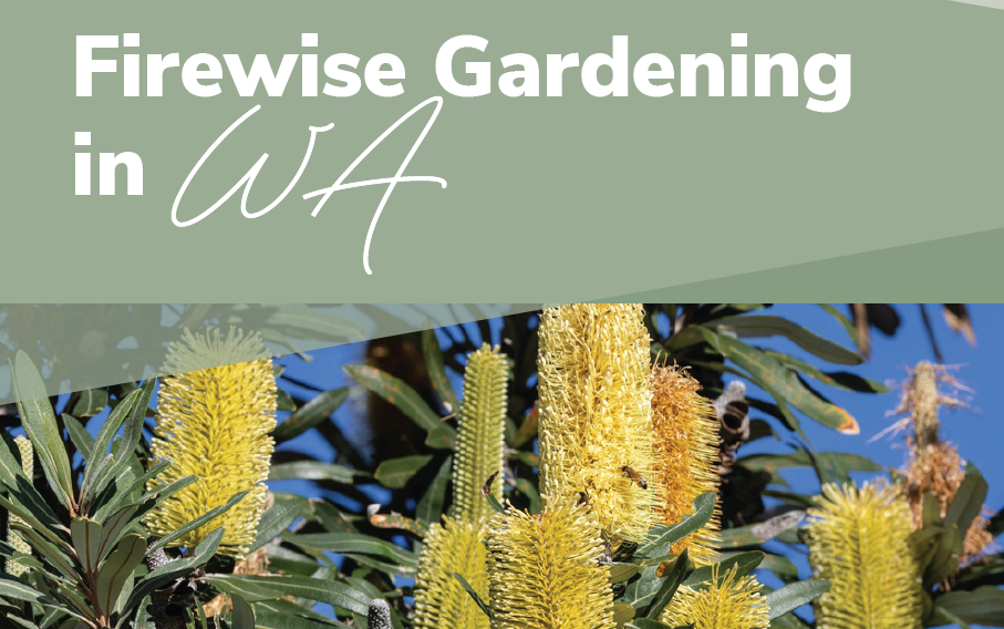 Firewise Gardening in WA