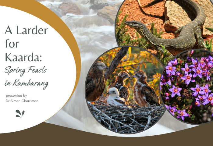 A Larder for Kaarda: Spring Feasts in Kambarang with Dr Simon Cherriman