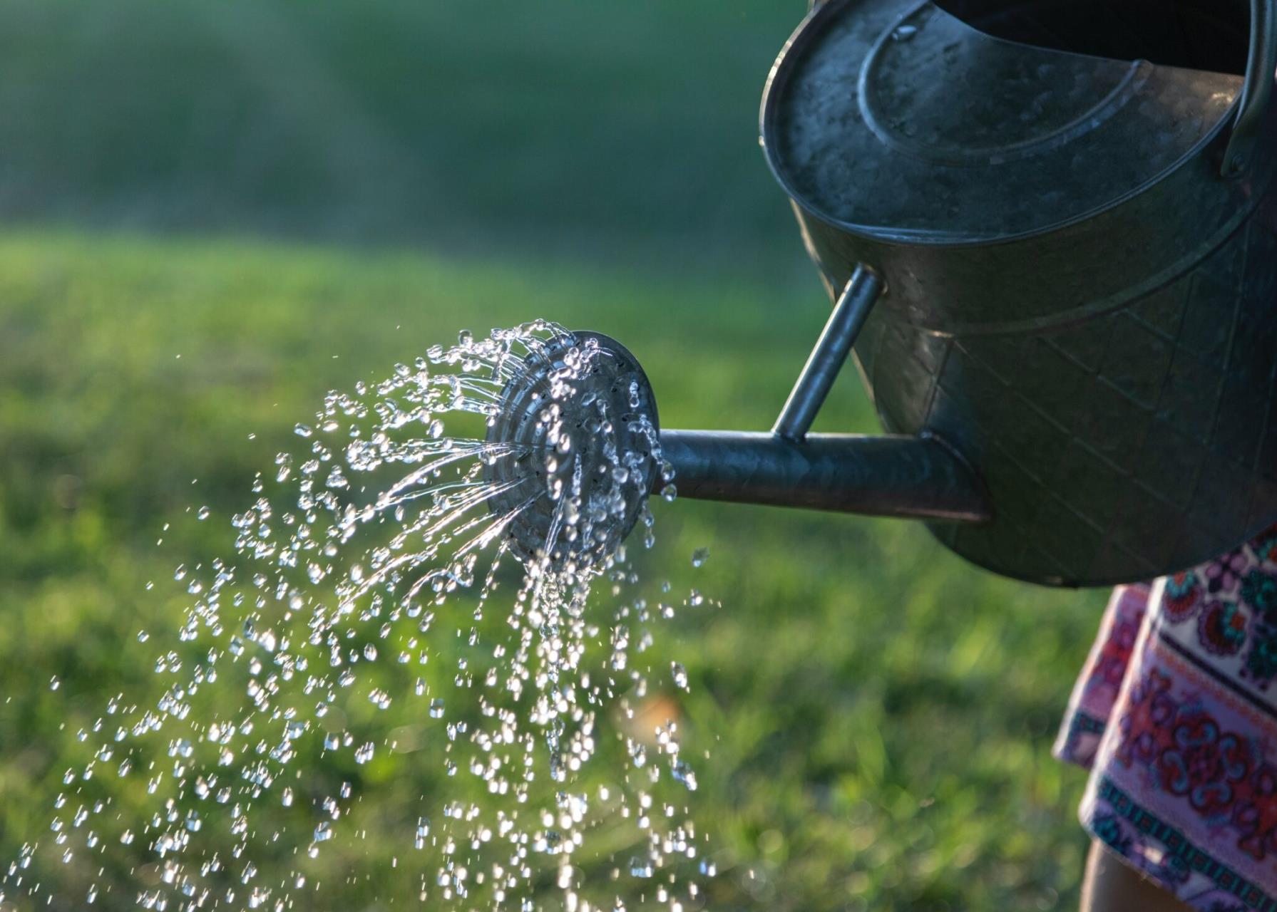 Water saving, reuse and collection in your home