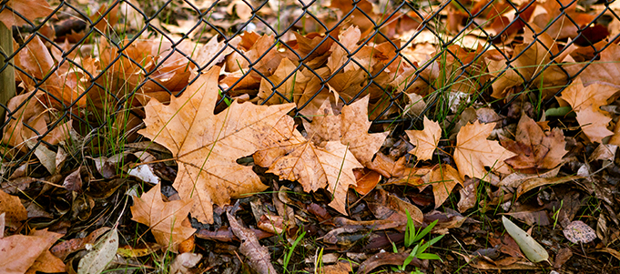 Find out what's happening in May in the shire