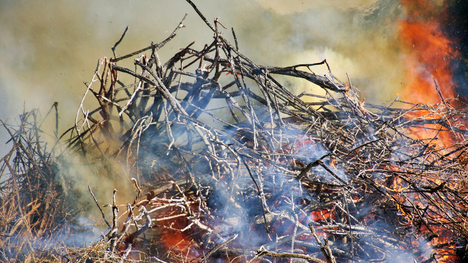 Burning off and smoke management
