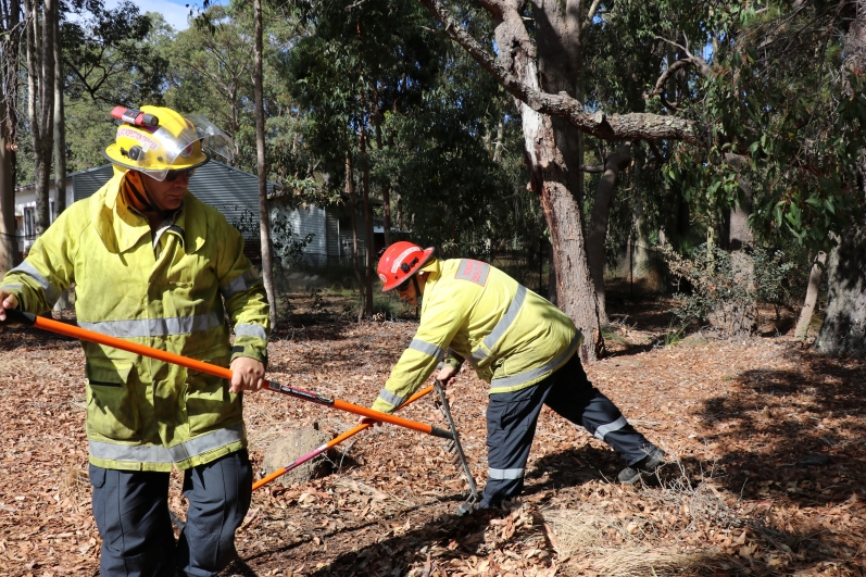Reducing bushfire risk across our Hills Communities