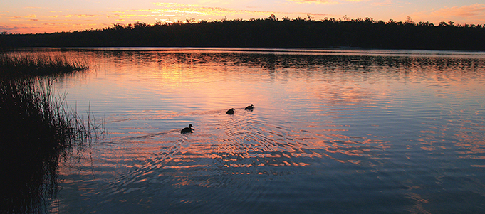 News update – North Stoneville development