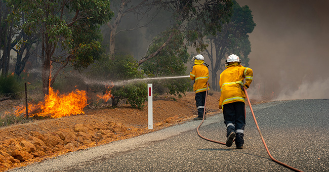 Bush Fires and Fire Management Image