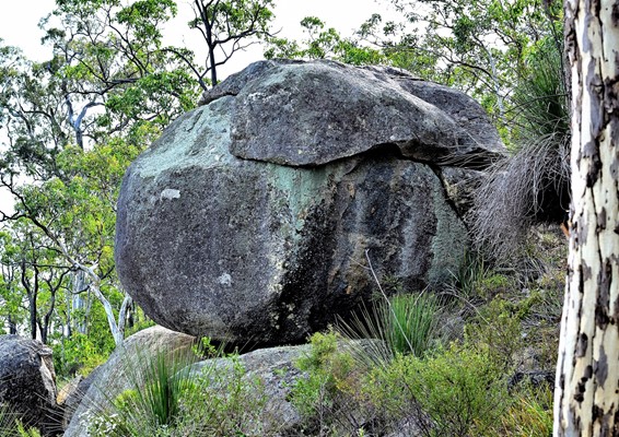 Winners Habitat Category - Granite Outcrop by Peter Moltoni,