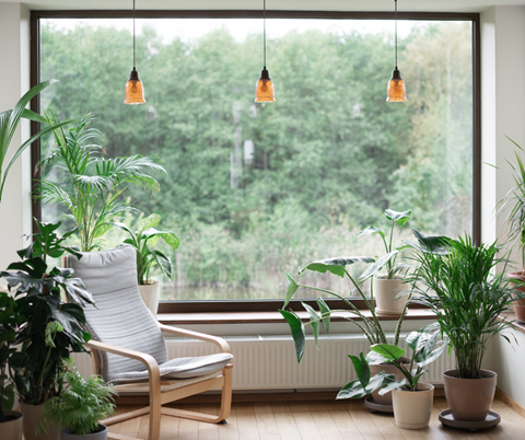 Image: Biophilic Design: Creating a Healthier and Happier Home