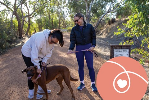Image: Future Mundaring - Darlington Community Pavilion Community Workshop
