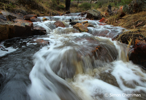Image: Makuru Magic: Water Heals Country with Dr Simon Cherriman