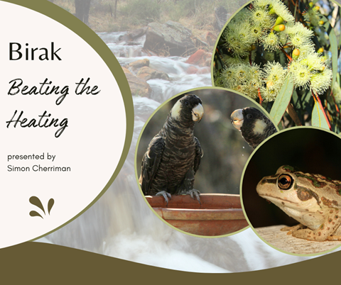 Image: Birak: Beating the Heating with Simon Cherriman