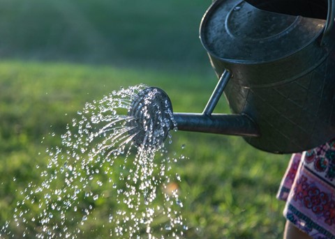 Image: Water saving, reuse and collection in your home
