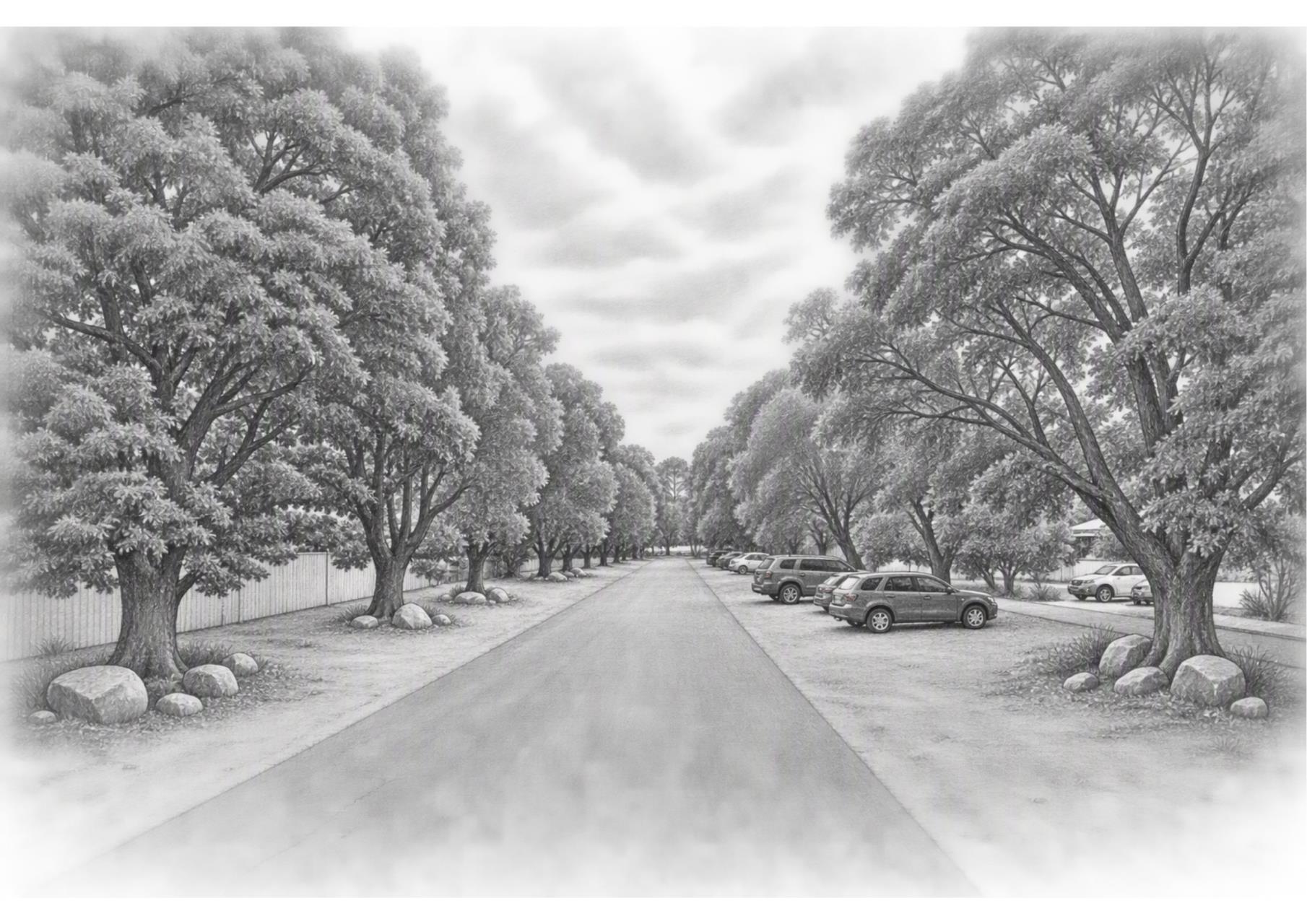 Memorial Avenue Tree Protection Project