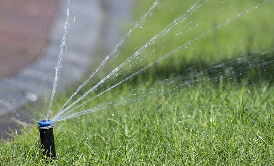 Council adopts five year Waterwise Action Plan