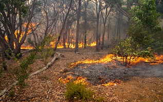 Submissions invited for Wooroloo Bushfire Inquiry
