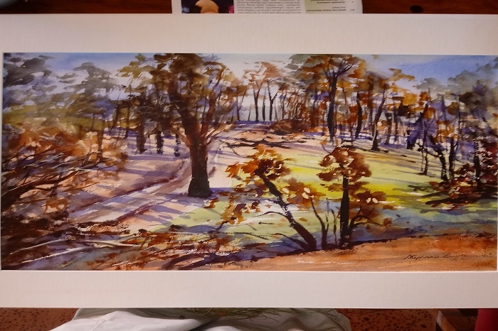 Image Gallery - Watercolour