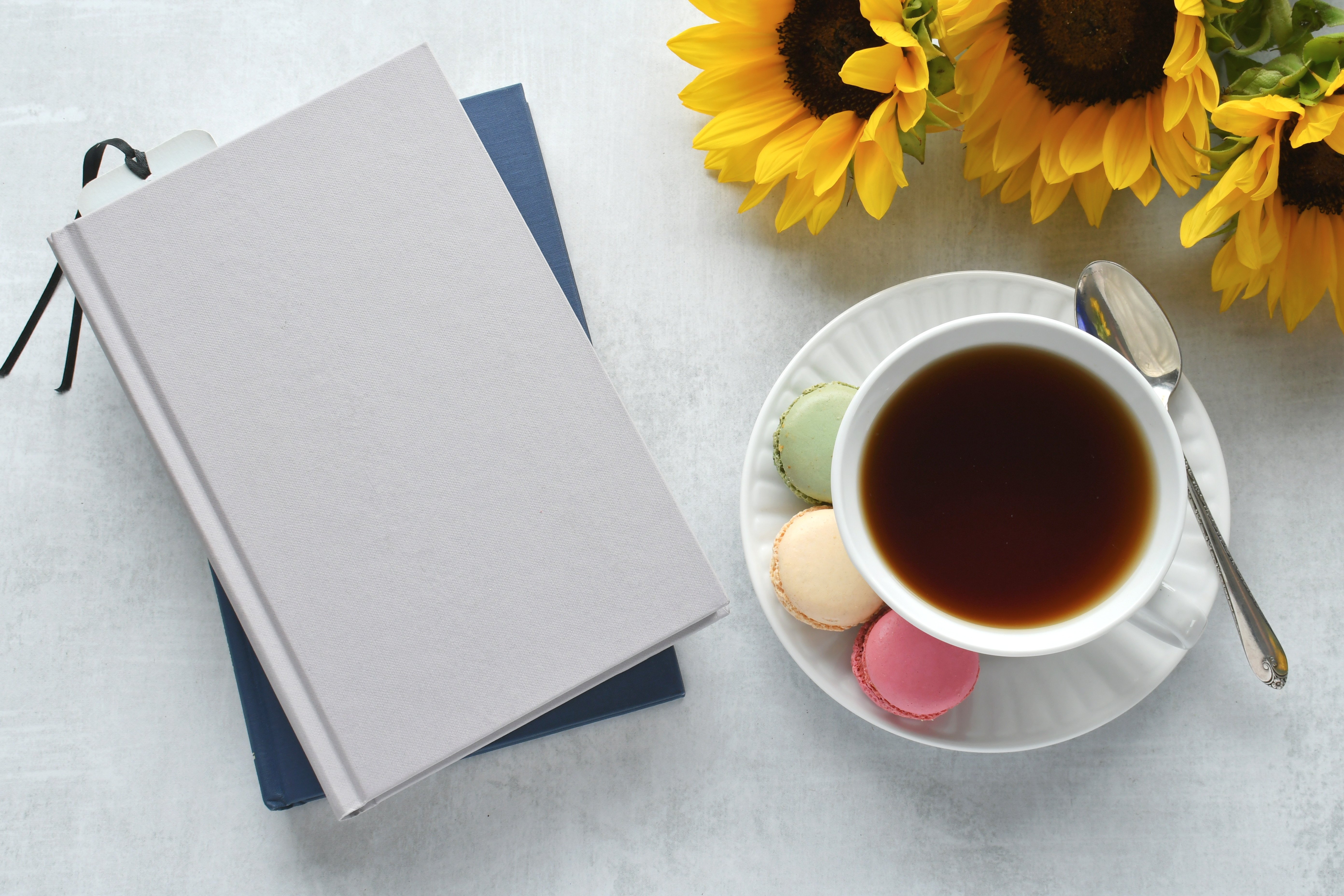 Book Cafe & Biggest Morning Tea