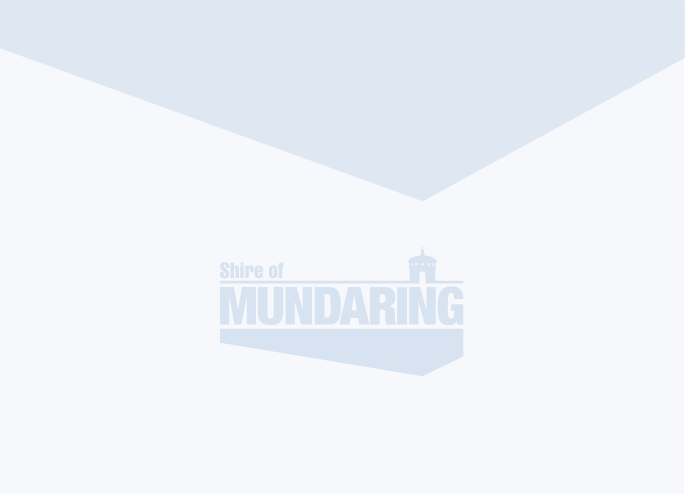 Image: ANZAC Day March & Service